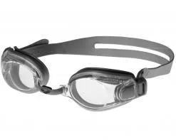 Arena Zoom X-Fit (Silver/Clear/Silver)